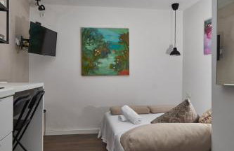 Aspidistra Shadow - Foto 10