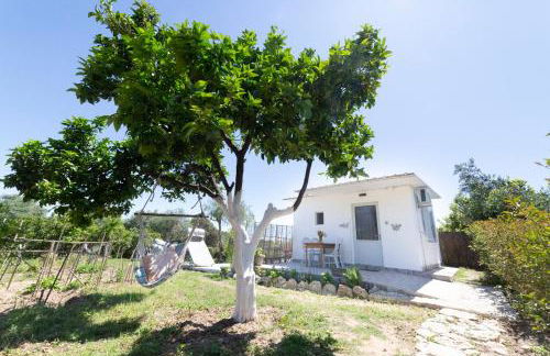 Antigone’s garden - Photo 16