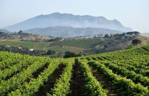 Agriturismo Antichi Granai - Foto 13