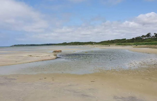 4 Person Holiday Home in Jaegerspris - Foto 32