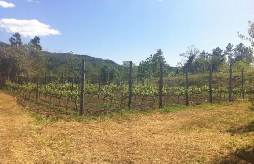 Sostio a Levante Guest House - Foto 84