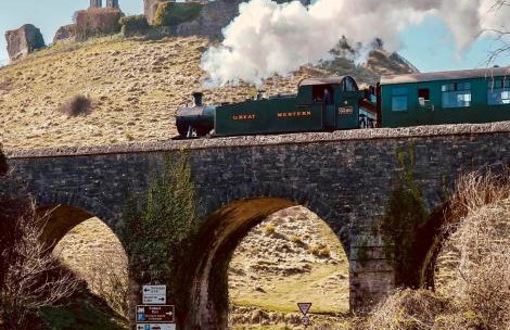 Poppy at Oakdene Forest Park - Foto 7