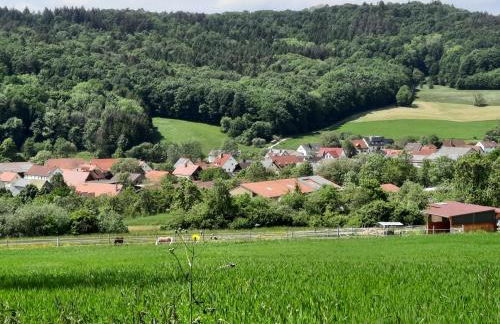 FeWo Zieger - Urlaub in Franken - Foto 67