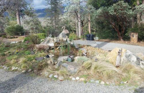 Uncle Grizz's Cabin...get intouch with nature - Foto 21