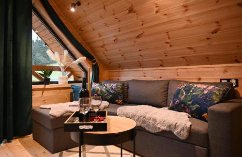 Nartorama Domki Zieleniec - Foto 12