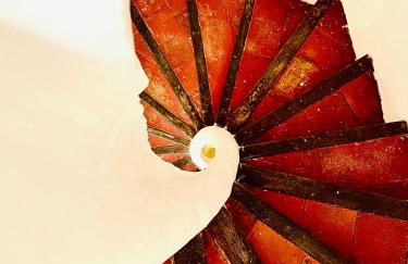 L'escalier gaucher - Foto 2