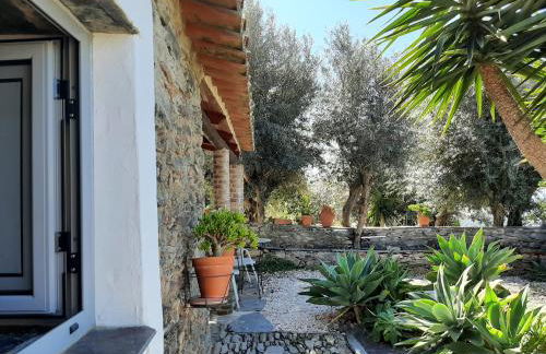 Casas Letizia e Sebastião - Foto 38