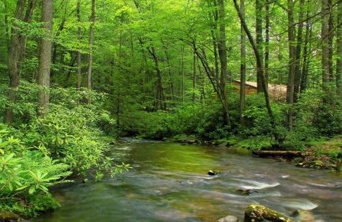 Blue Moon Log Cabin - Foto 16