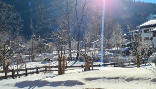 Ferienwohnung Berglust - Foto 4