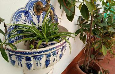 Patios con encanto - Foto 4