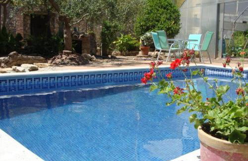 Hort De La Cinteta - Photo 2