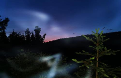 Ferienwohnung Eulennest - Foto 32