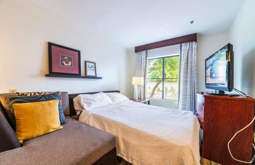 Phoenix 1bd Queen Economy - Photo 13