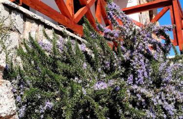 The Nest Filoxenia - Foto 13