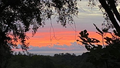 Maison au calme piscine mer au coeur de la nature U Nuciolu - Foto 3