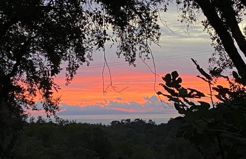 Maison au calme piscine mer au coeur de la nature U Nuciolu - Foto 3