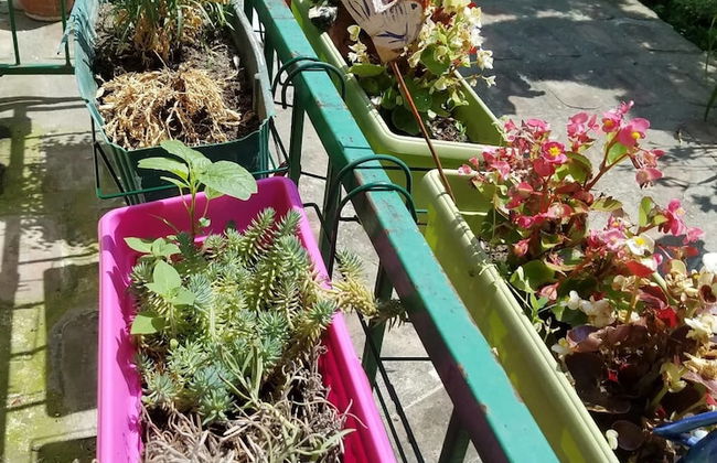 Downtown Duplex - Foto 1