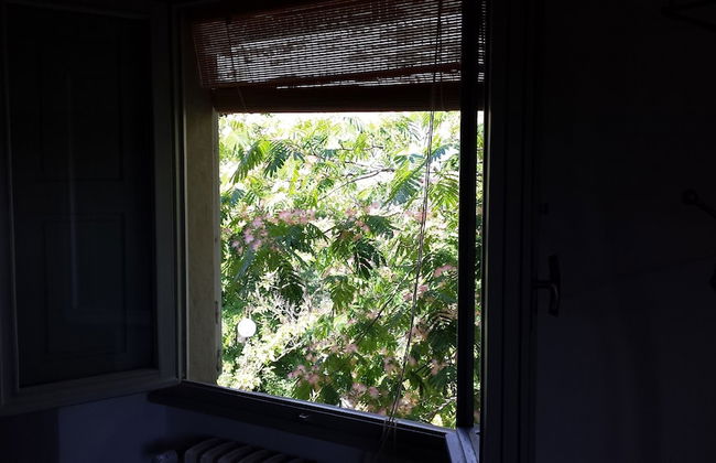 Il Pezzatino - Photo 61