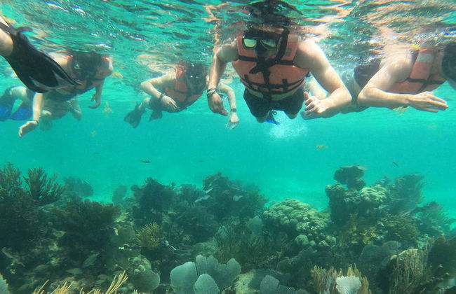 Snorkelling in Mahahual - Foto 4