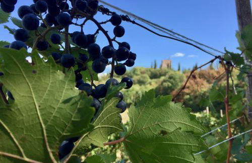 Solimago Dimora Storica - Foto 36