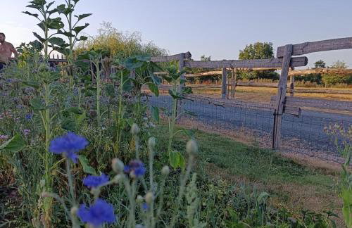 Le gîte Le Marillet - Photo 3