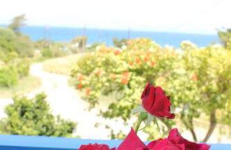 K Farm House - Foto 1