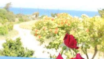 K Farm House - Foto 1