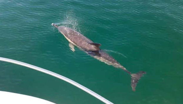 Tour in Hondarribia - Photo 4