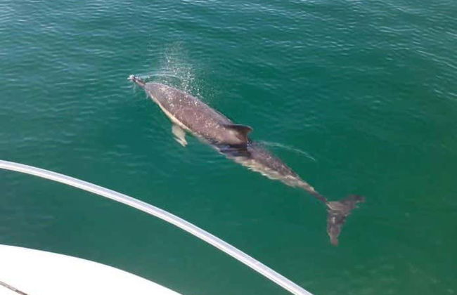 Tour in Hondarribia - Photo 4