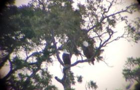 Amazing Glamping Vacations in this Riverside Cottage in Llano, Texas - Foto 6