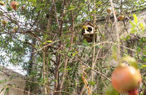 Casa no Renascença próxima Praias e Centro Histórico - Photo 4
