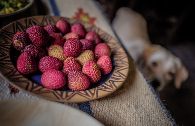 Mingtang Boutique Cottage - Photo 39