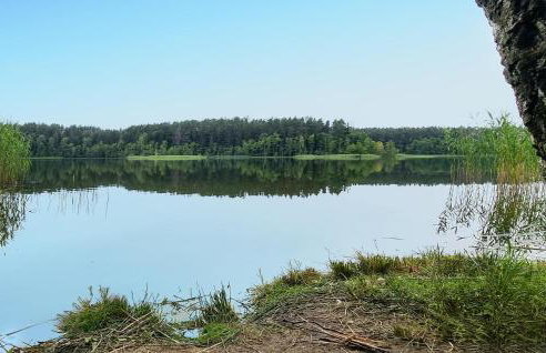 2 Bedroom Cozy Home In Rekowo - Foto 11