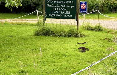 Wren Cottage North Norfolk - Foto 21