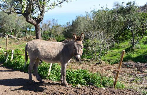 Sari- Vue mer- climatisation - Foto 20