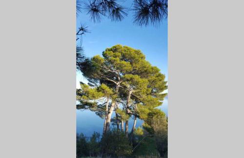 Bellavista la tua romantica vacanza sul Trasimeno - Foto 70