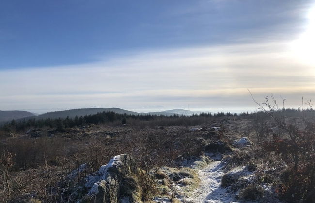 Clouded Yellow - Beautiful Modern Lodge, Kippford - Photo 20