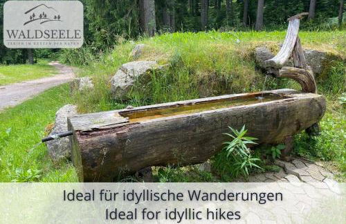 Exklusives 5-Sterne Apartment Waldseele mit Indoor-Pool, Sauna, top Lage und Ausblick in die Natur, Hunde willkommen - Foto 21