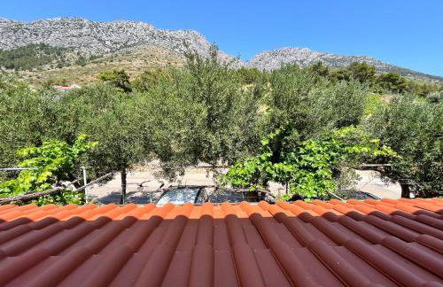 Apartmani "Nikola" Seaview - Ivan Dolac, Hvar - Foto 8