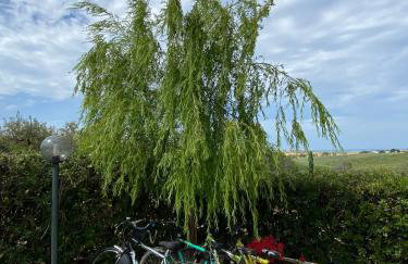 Villa Nino - Foto 40