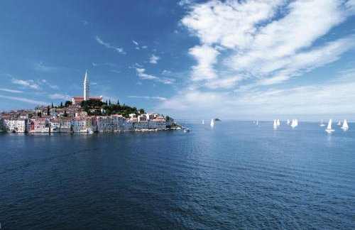 Villa in Baderna With Private Pool - Foto 74