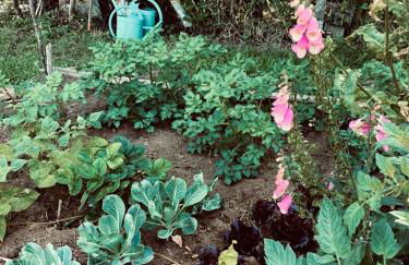 La Pierre des Volcans Chaleureux Calme Champêtre - Foto 32