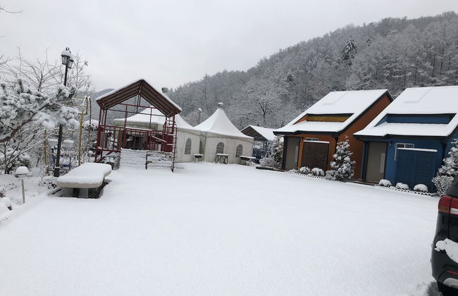 Pension Cafe Yoon & Park - Foto 17