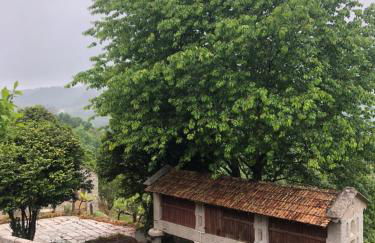 QUINTA do SOUTO BARCIADEMERA - Foto 68