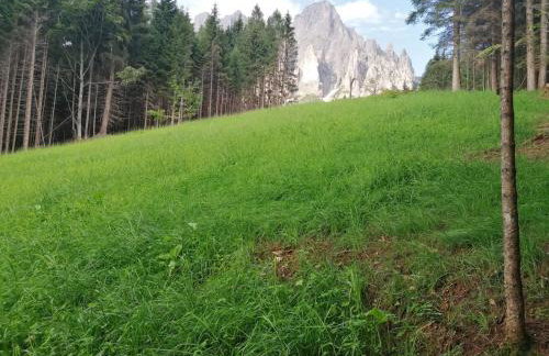 Baita Pra Petina Pale di San Martino - Photo 24
