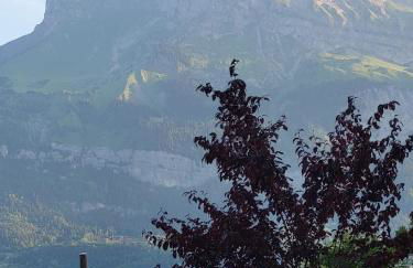 Les Ormeaux - Foto 8