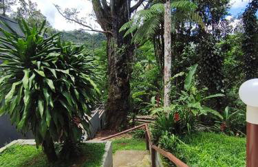 Cabana Eucalipto - Photo 29