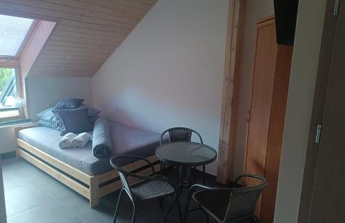 Agroturystyka Żuczek nad jeziorem - Foto 29