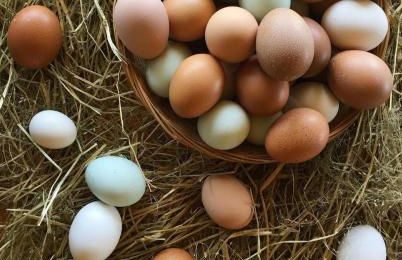 Agriturismo Monte Acuto - natura, mare & relax in piscina - Foto 28