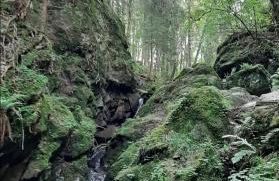 Ferienwohnung Schwarzwaldglück - Foto 40